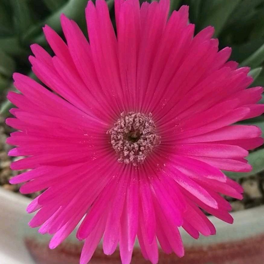 爱你一生（JingDong防水）