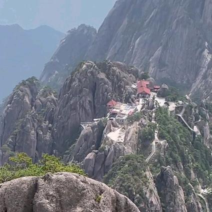 桂师傅