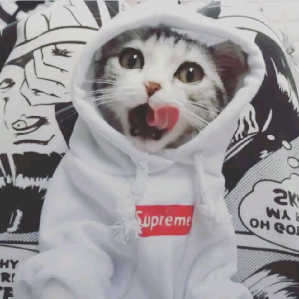 五行缺钱