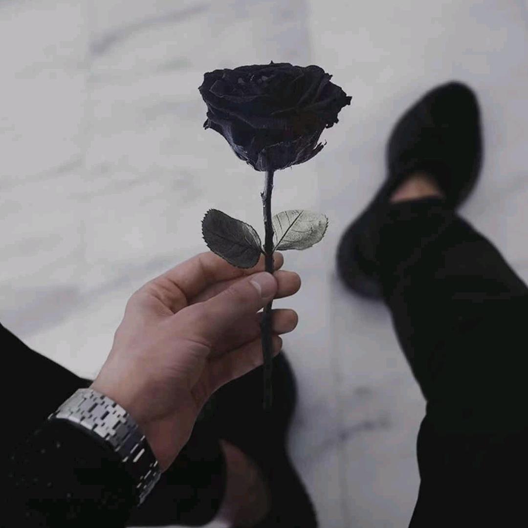 cf漫游笔记