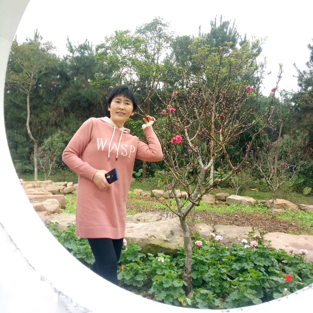 雪中梅