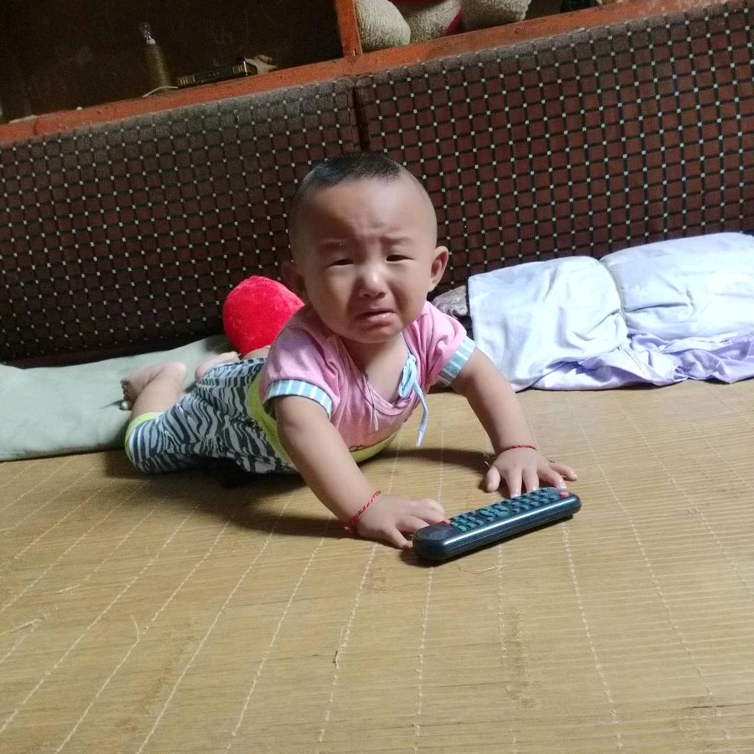 杨勤