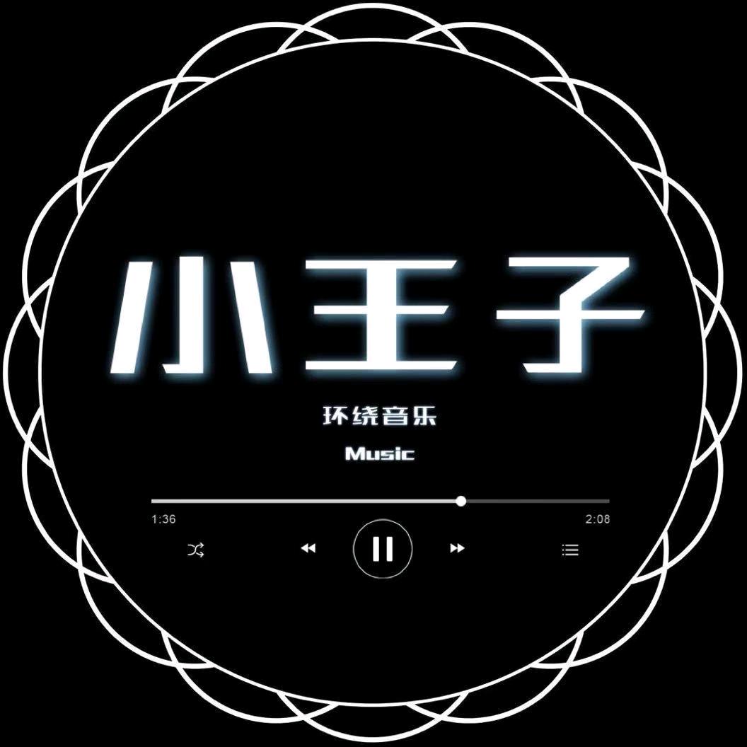 小王子车载音乐