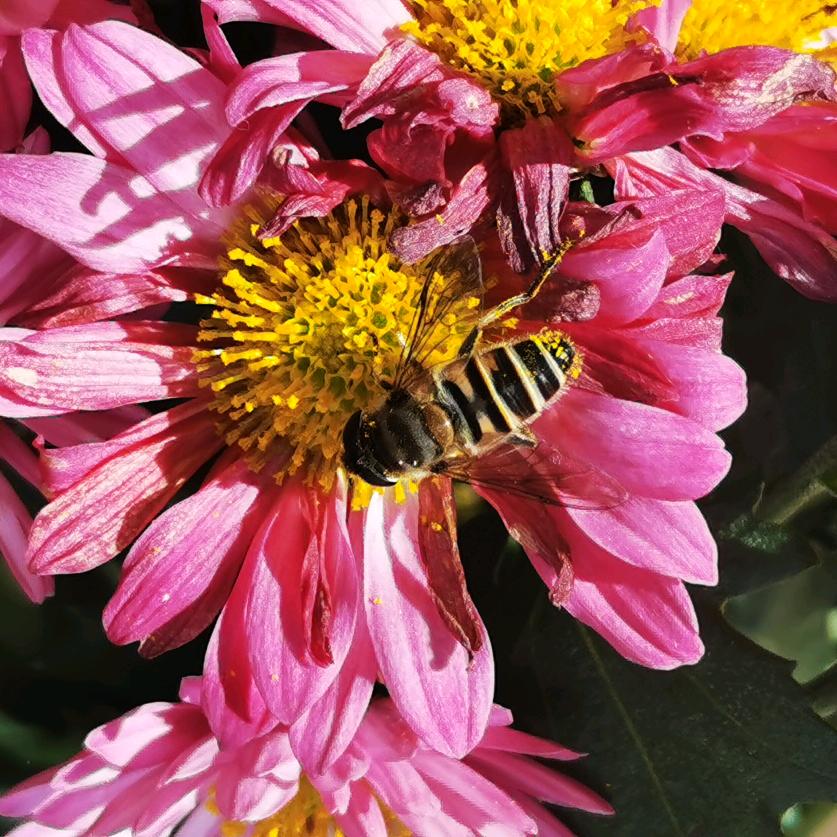 成贤鉴宝说历史