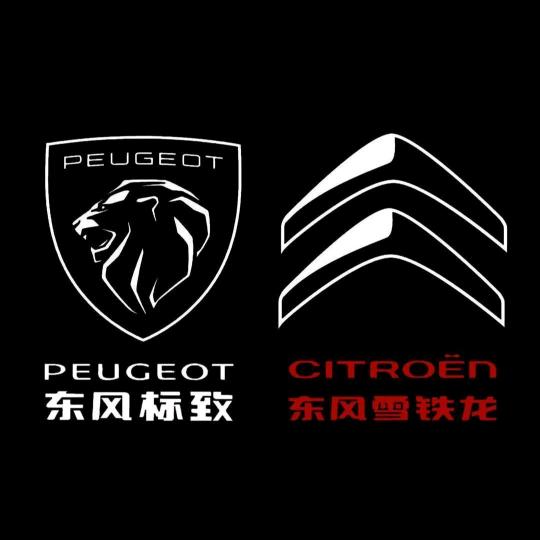 新余永兴法系专修（免拆治理烧机油，）