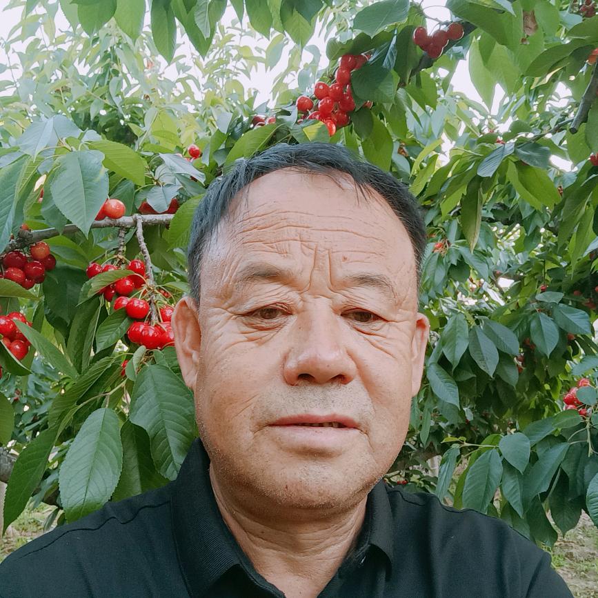 农村惠哥水果