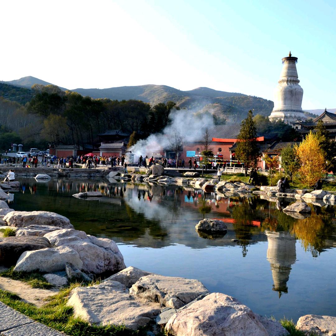 雯雅国际旅行社