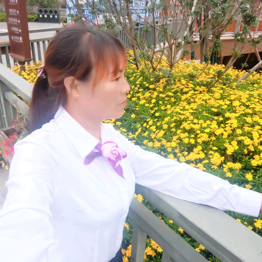 太阳花