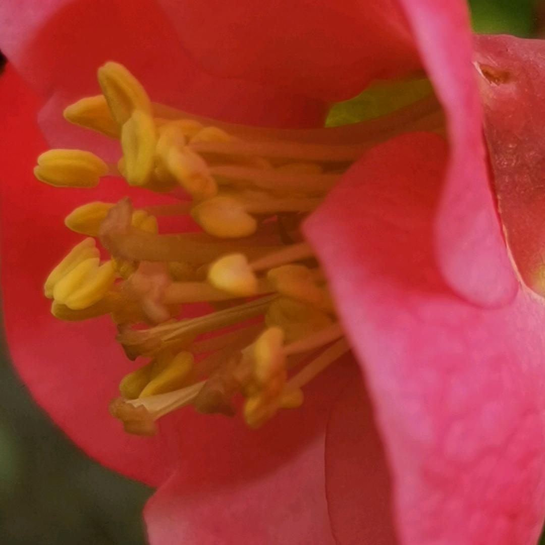 🧚‍♀️谭笑🍓自如🎋