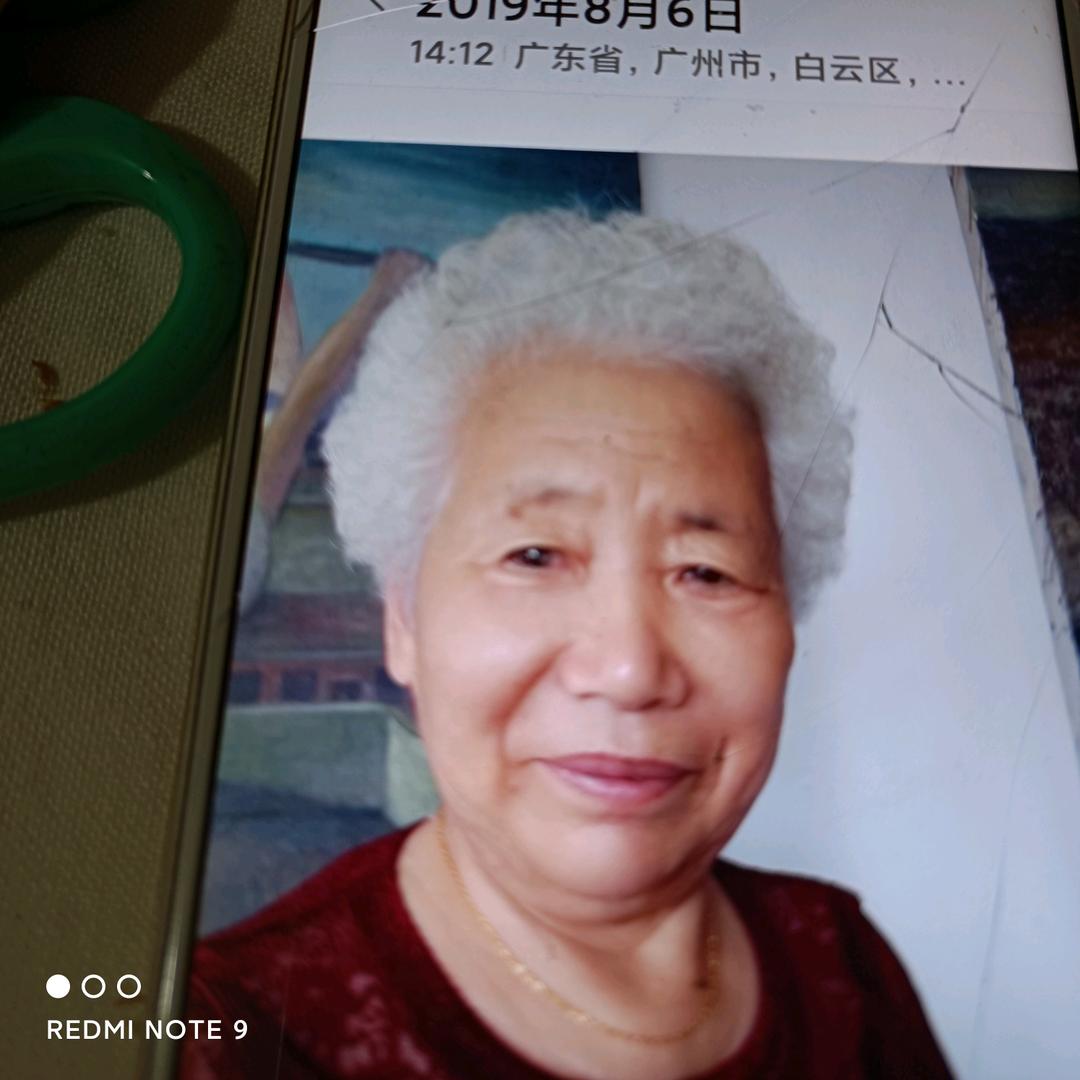 沙漠梧桐
