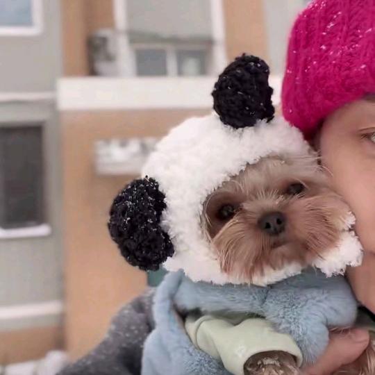 🌈吉星高照🌈