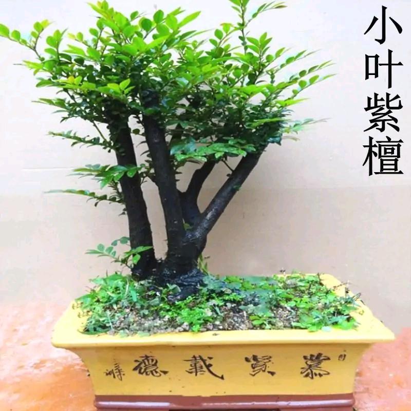 释然