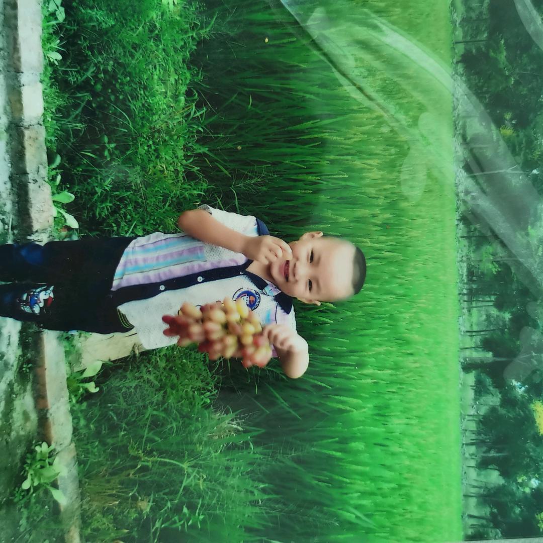 金麦穗厂家直销〈友谊货运〉