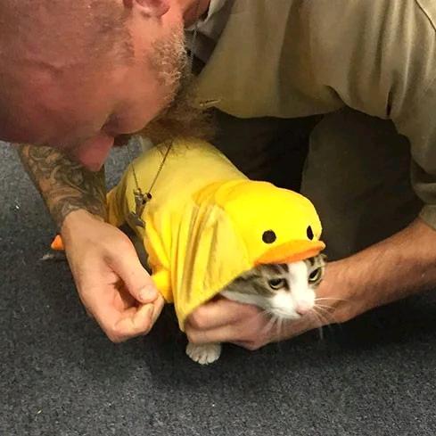 武林原来是人情世故