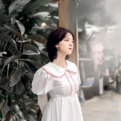 沫檬小咪爱吃虾