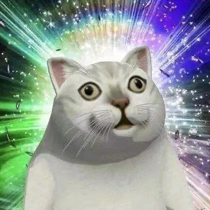 小鲨不是鱼