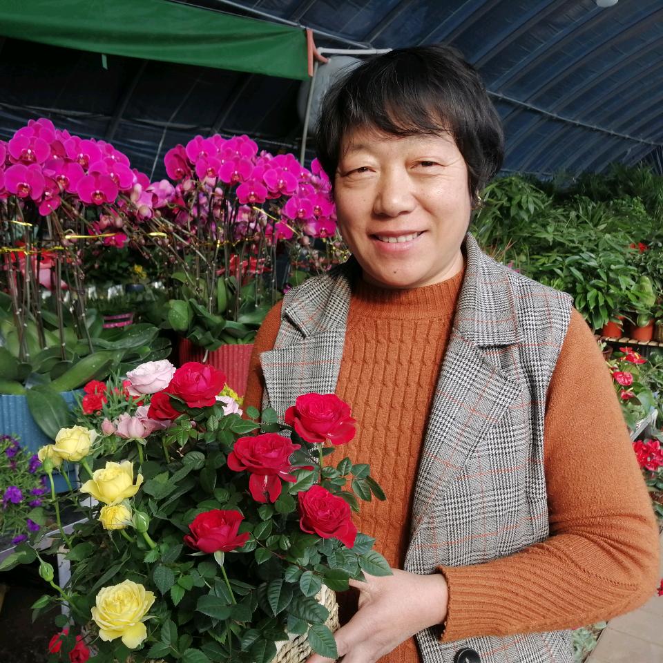 老富花卉