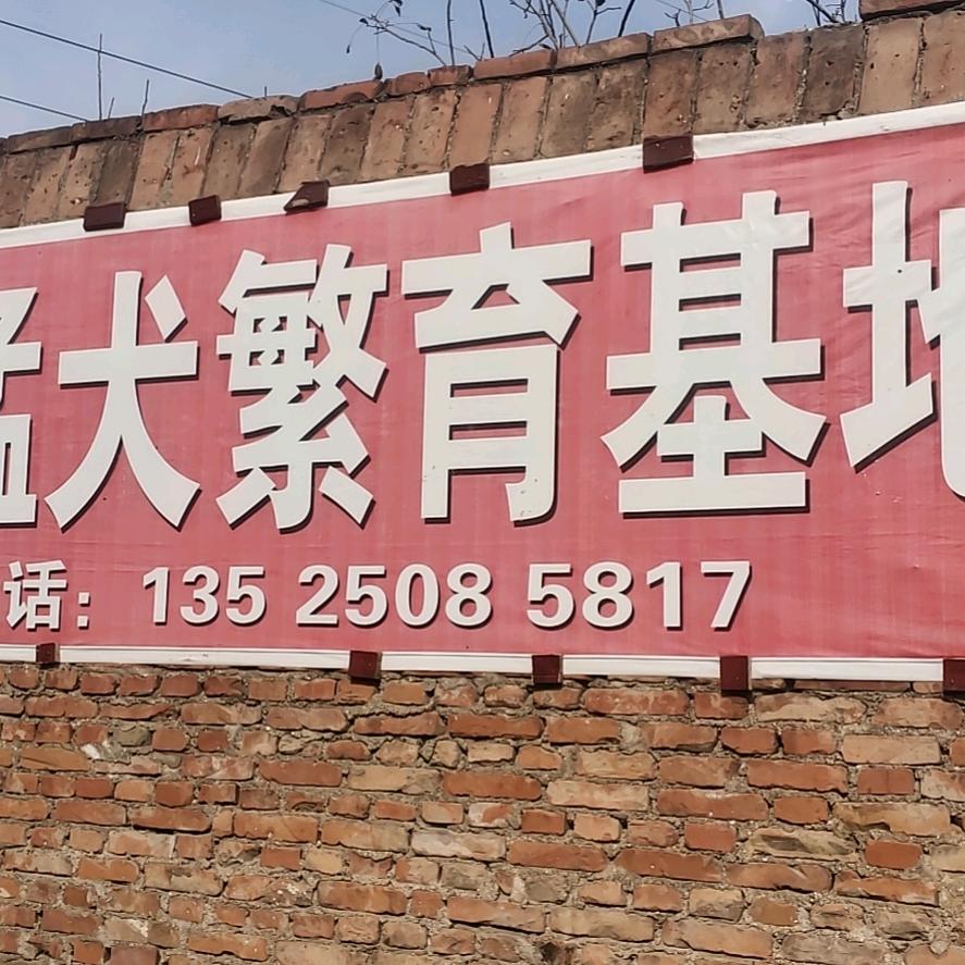 九五至尊！