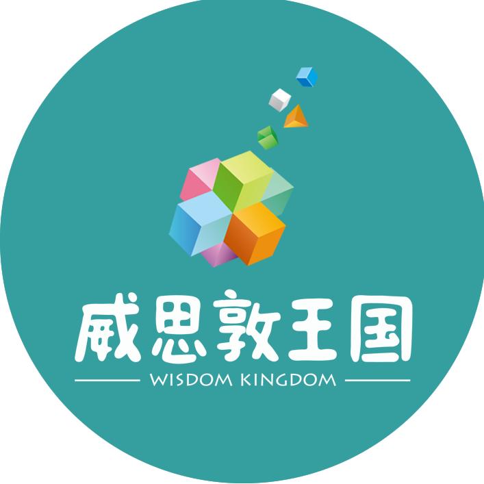 威思敦王国玩具旗舰店