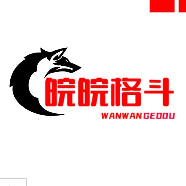 皖皖格斗