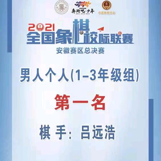 凤阳象棋教练-
