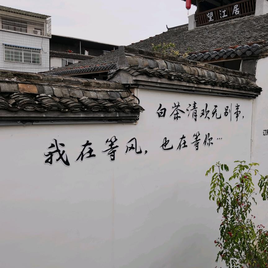 宁化部落