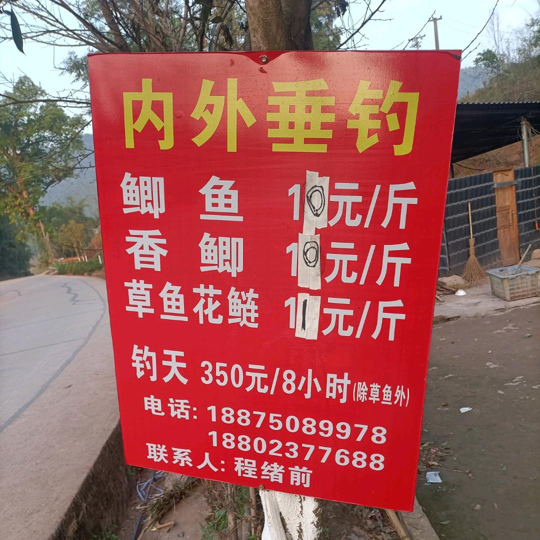 开心就好老大哥