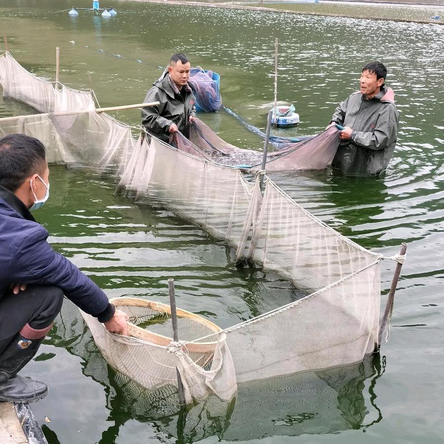 镇远县永盛渔业有限公司