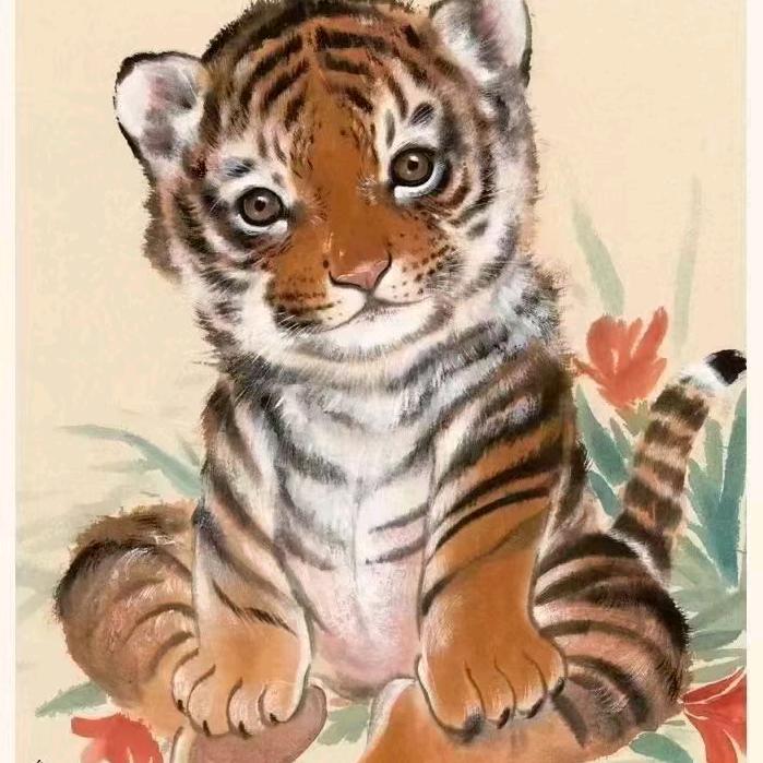 王小贝