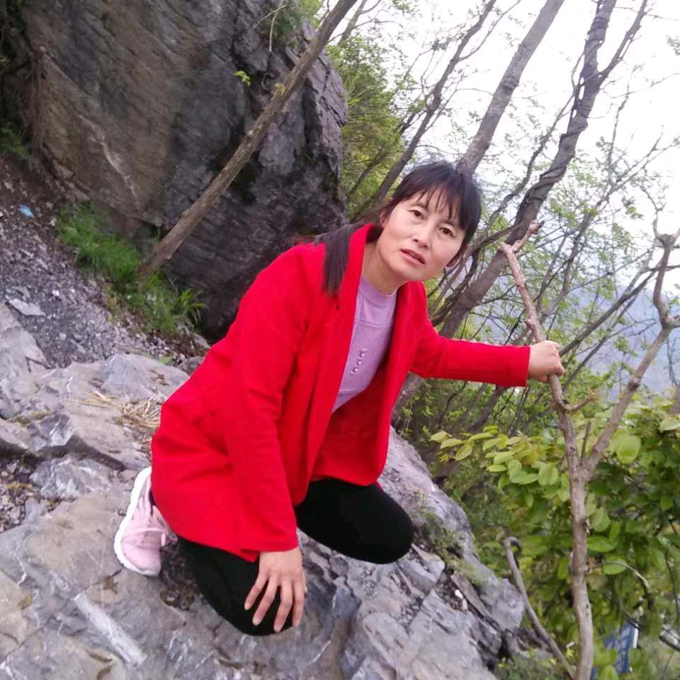 阳光