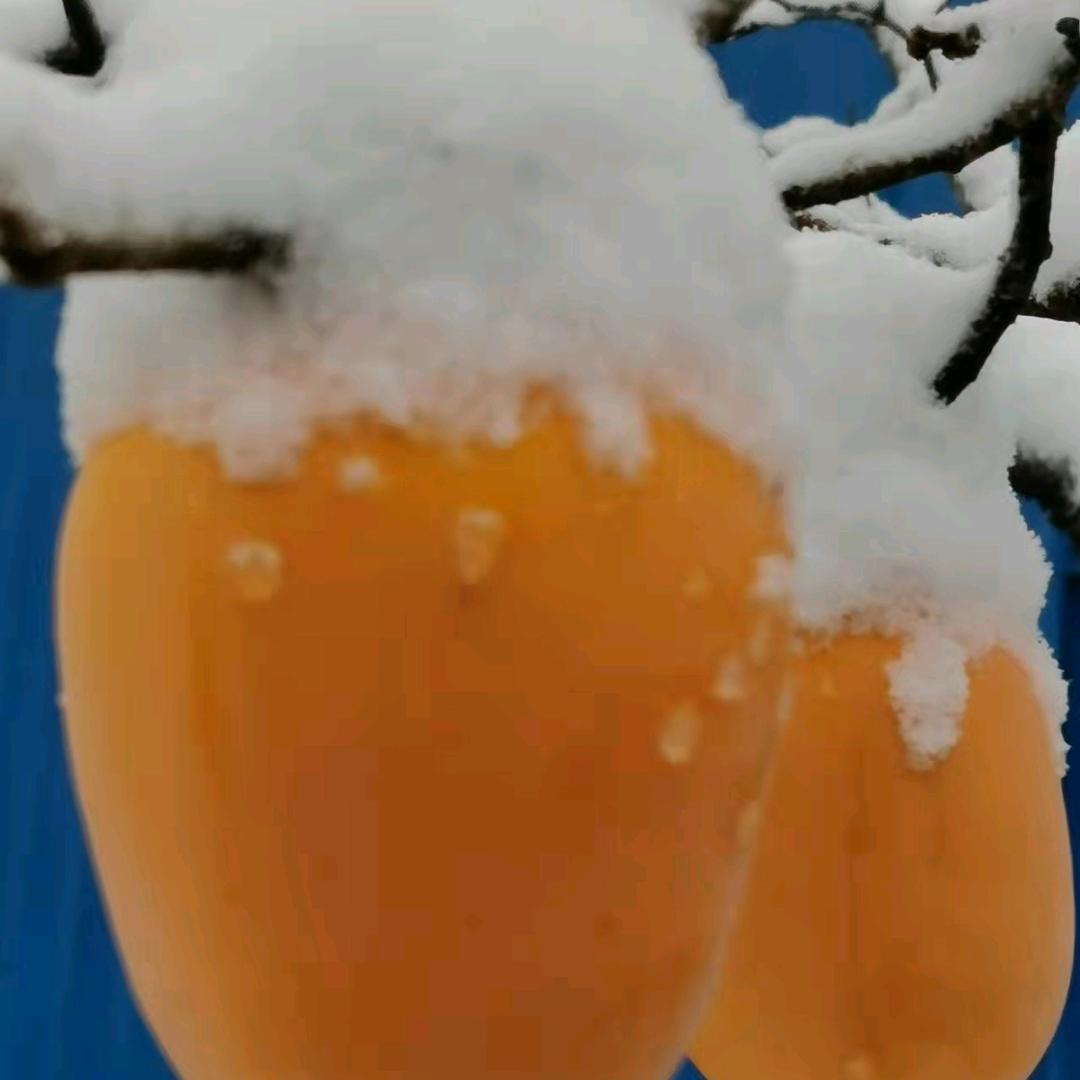 张zhang