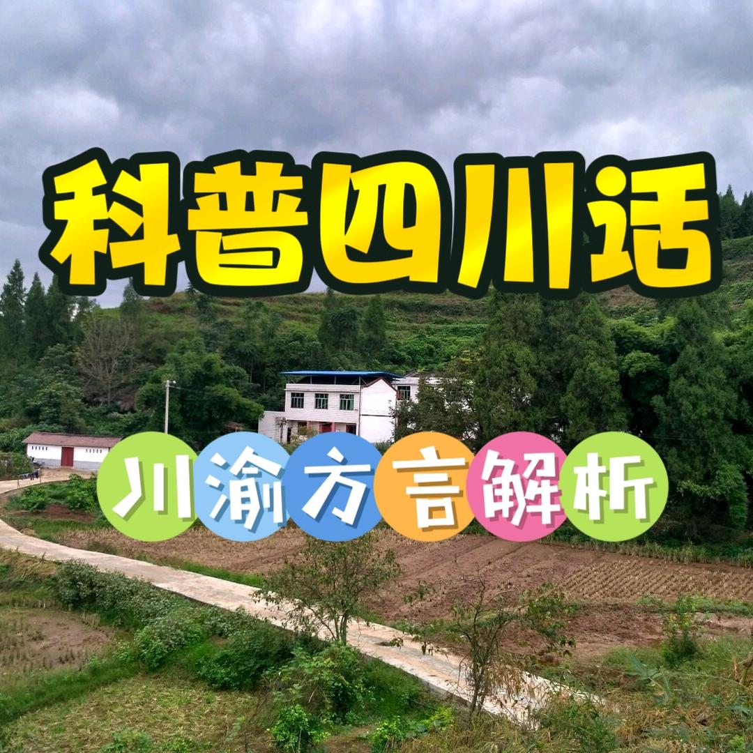 ⭐️冰山雪莲⭐️
