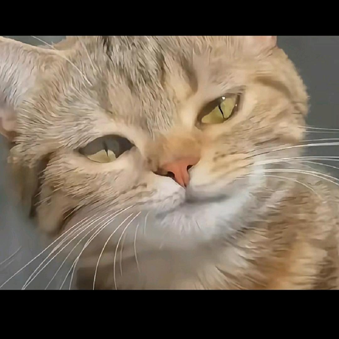 臭臭肥～芜湖！