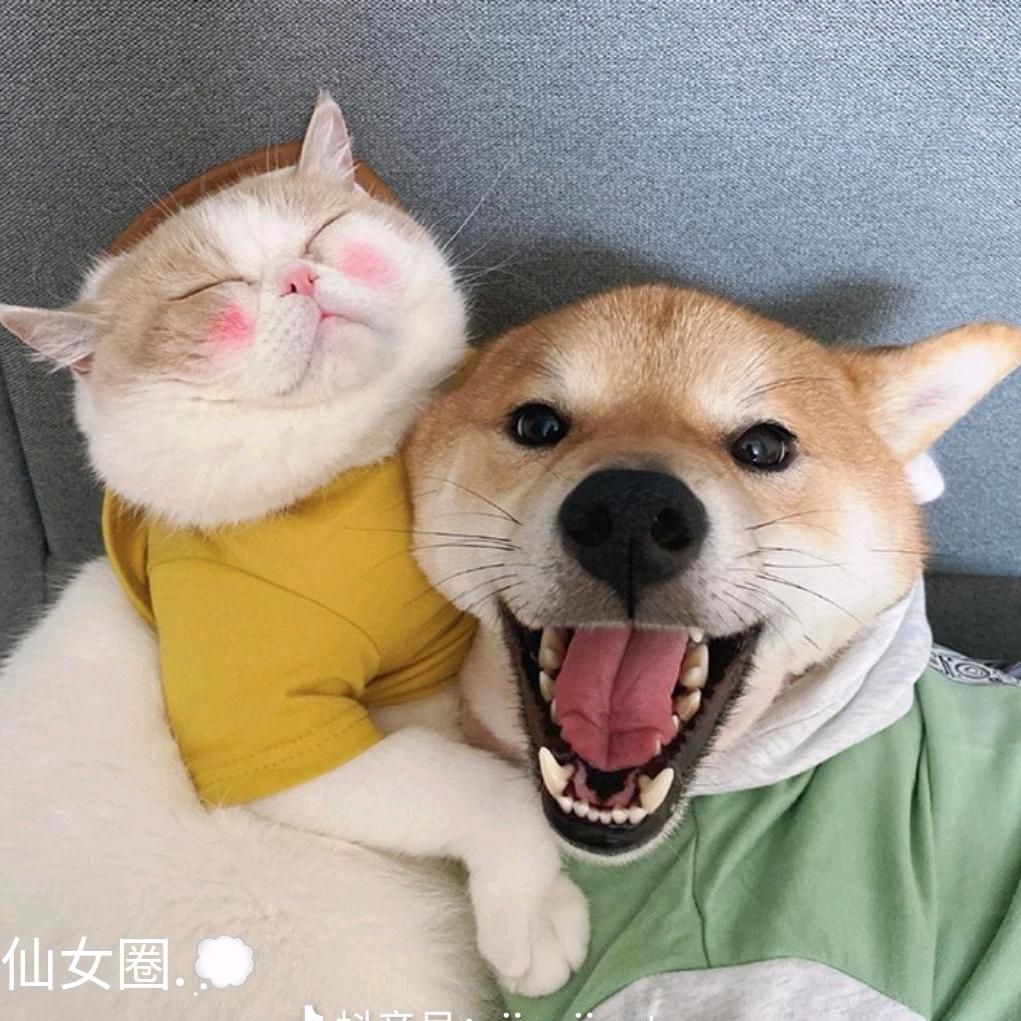 酸酸甜甜甜