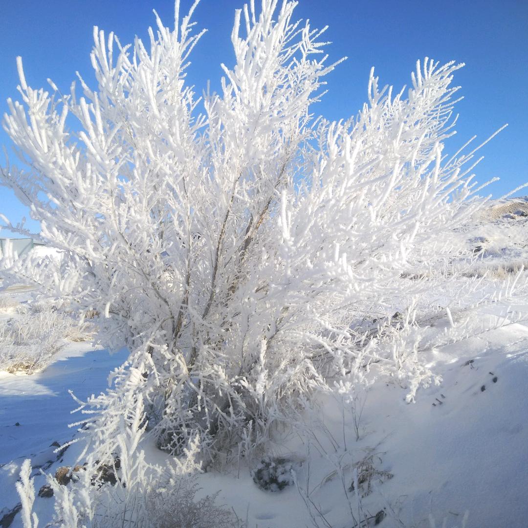 站着等你三千年