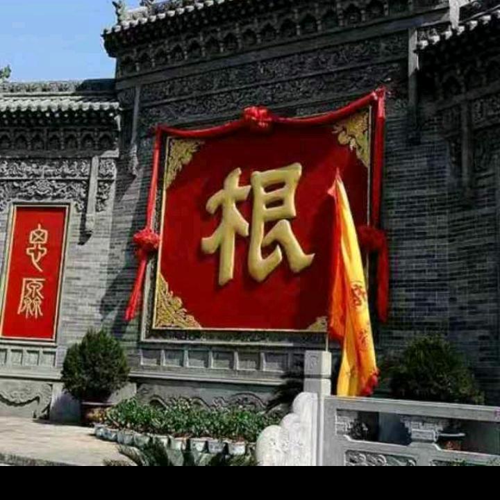 会飞的白鹤