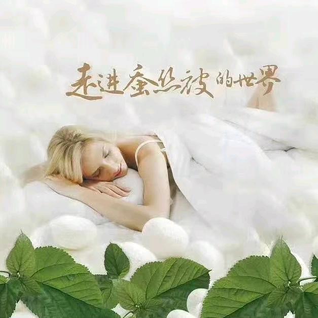 梦丝瑞蚕丝被