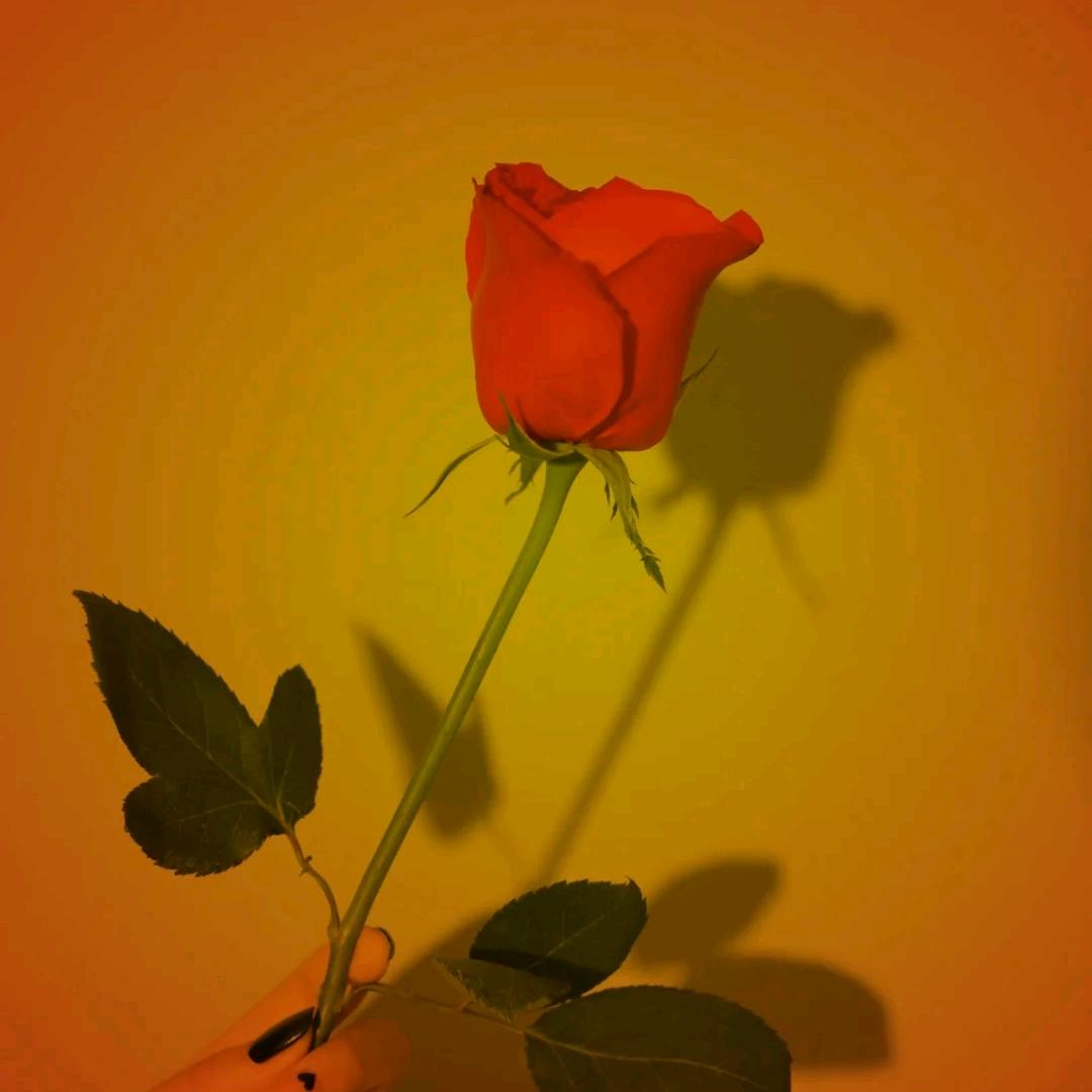 童趣宝贝包包严选