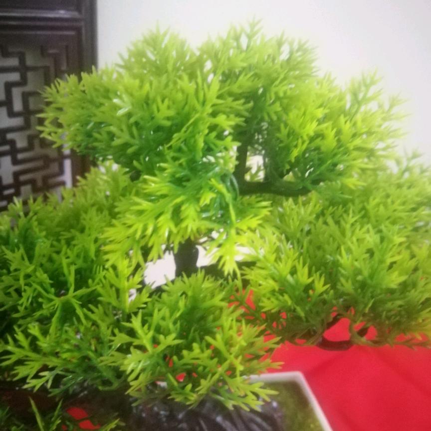 木易生活也