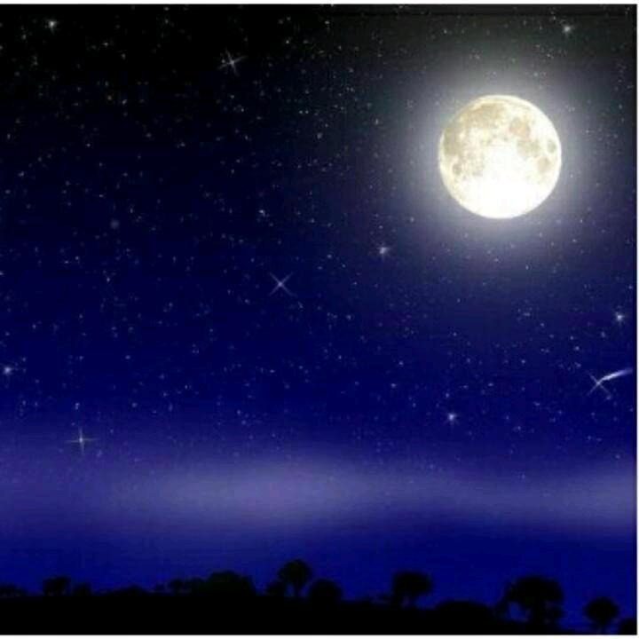 如愿：星辰大海ℳ⁵¹⁰