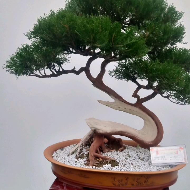 强盛园林