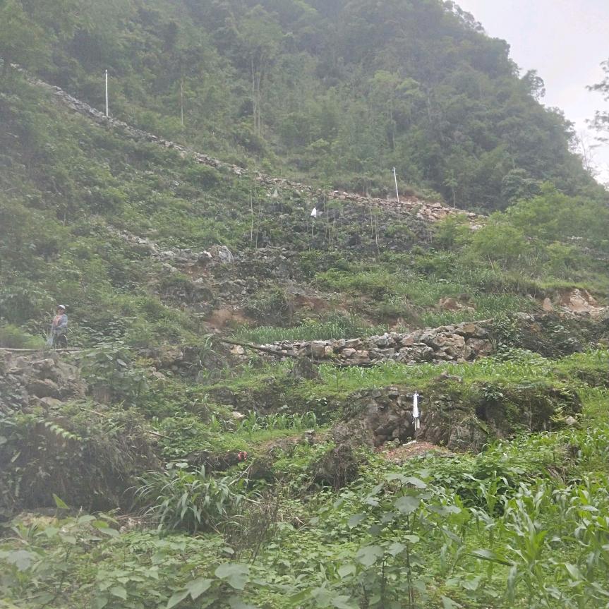 🐴💨👋🍚了么