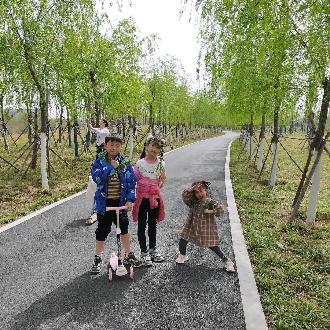 叶子正红