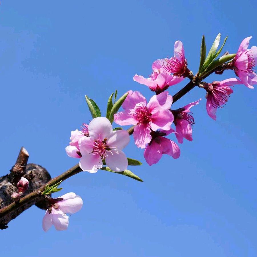 星晨语默！！！