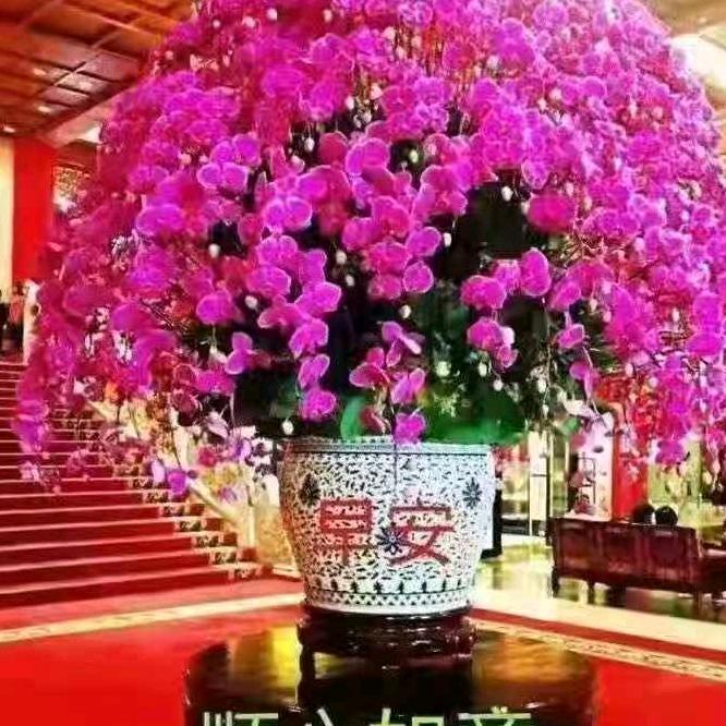 丁广霞