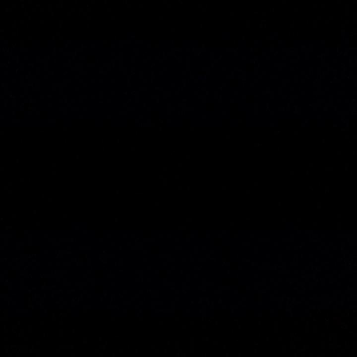 川西司导（火巴耳朵）