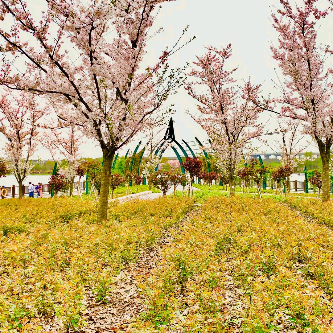 开心就好(*^ω^*)