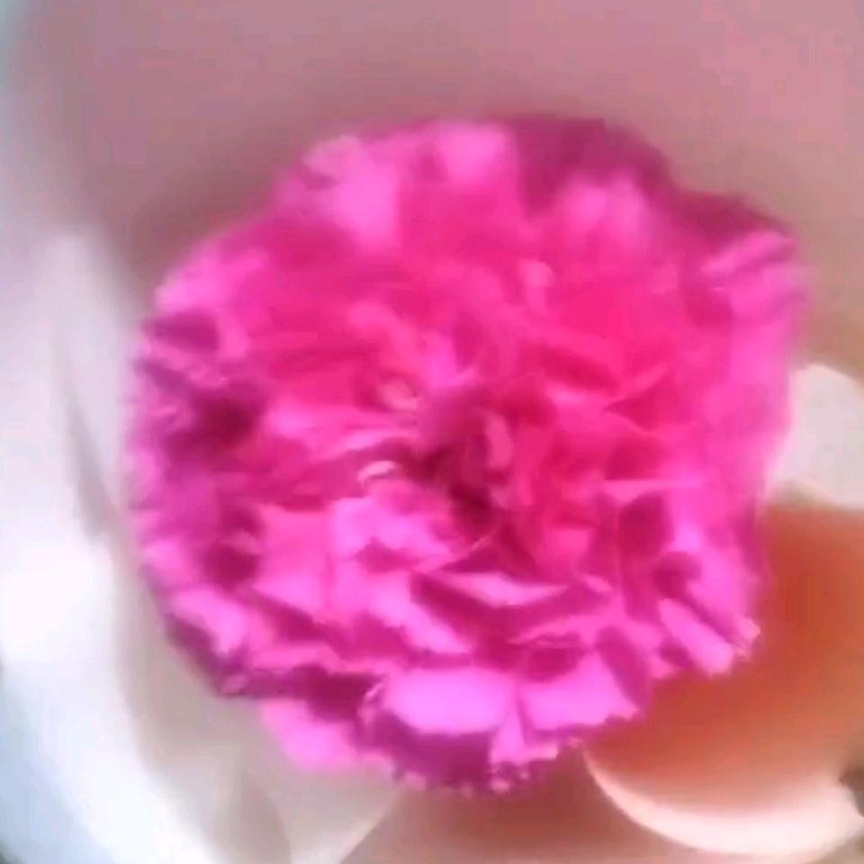 路鸣花