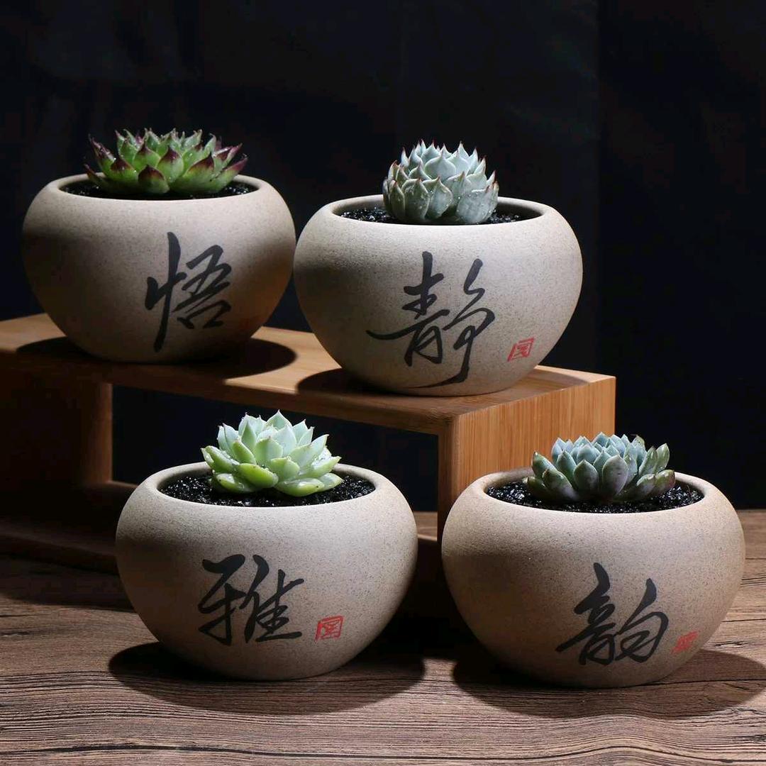 你的样子。