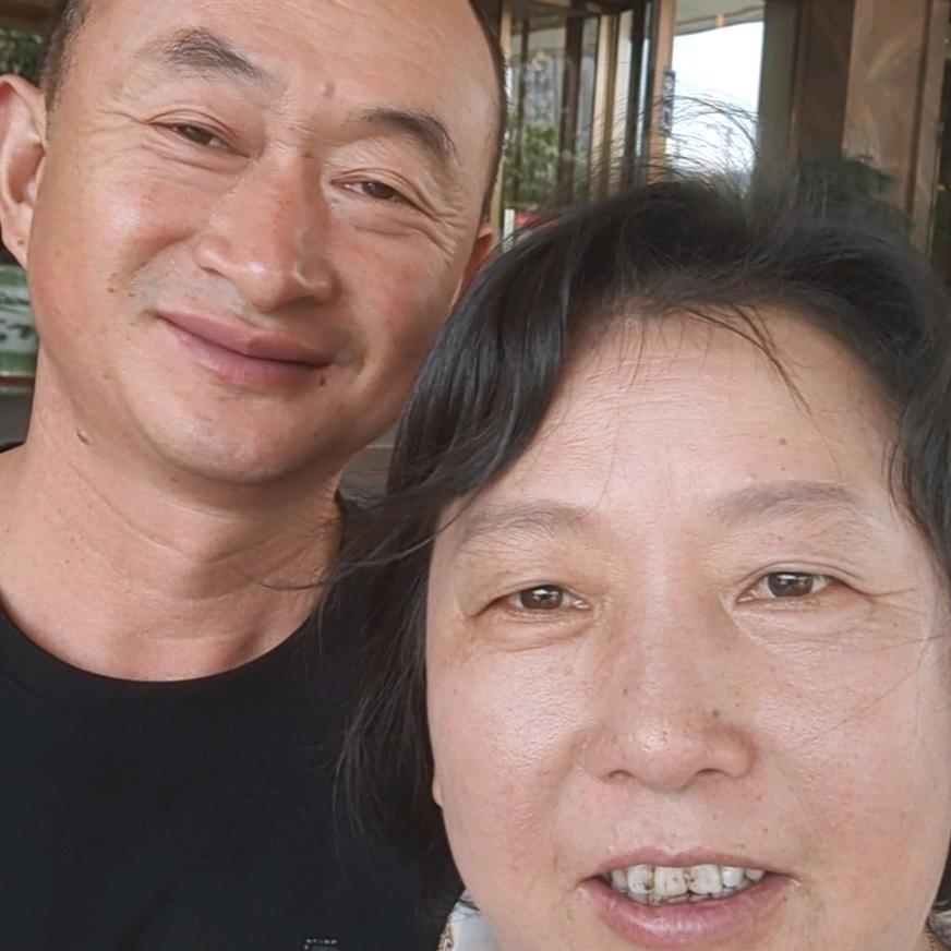 像风一样离去